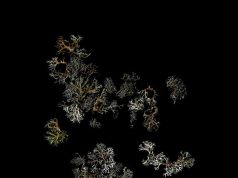 Deathcrash – Return