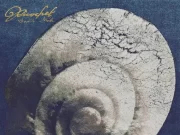 Snail Mail – Ricochet